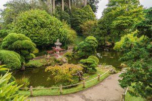 Japanese Tea Garden in The Golden Gate Park, San-Francisco, USA.